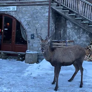 https://willa-jaszczurwka-26.zakopanehotels.org